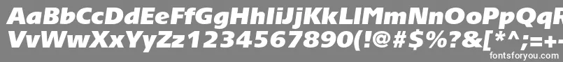 フォントTornadoultrablackcItalic – 灰色の背景に白い文字