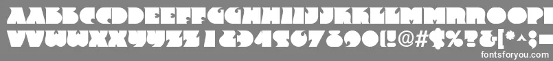 Frant Font – White Fonts on Gray Background