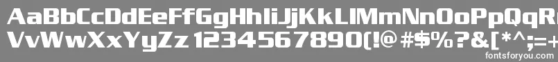 EnterSansmanBold Font – White Fonts on Gray Background