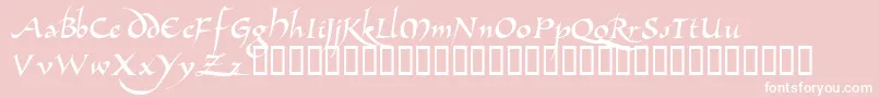 AllembertTM Font – White Fonts on Pink Background