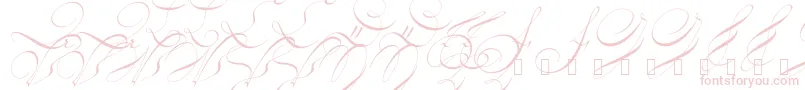 18thctrinit Font – Pink Fonts on White Background