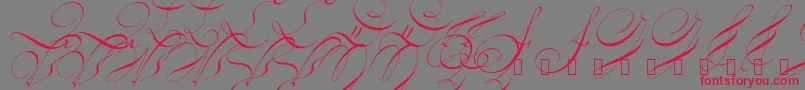18thctrinit Font – Red Fonts on Gray Background