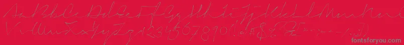 SignericaThin-Schriftart – Graue Schriften auf rotem Hintergrund