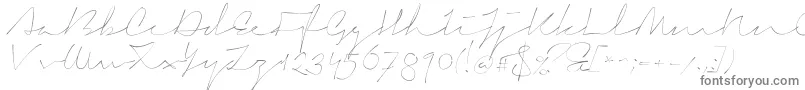 フォントSignericaThin – 白い背景に灰色の文字