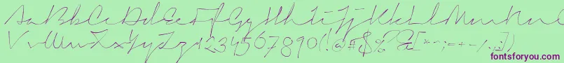 SignericaThin Font – Purple Fonts on Green Background