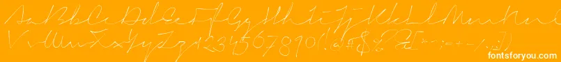 SignericaThin Font – White Fonts on Orange Background