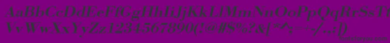 UrwbodonitmedextwidOblique Font – Black Fonts on Purple Background