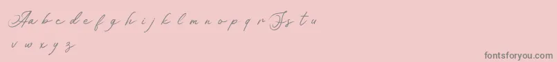 Asianskylinedemo Font – Gray Fonts on Pink Background