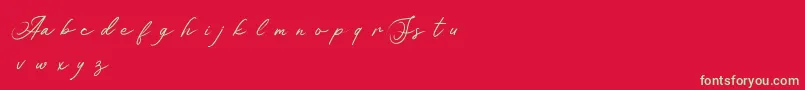 Asianskylinedemo-Schriftart – Grüne Schriften auf rotem Hintergrund