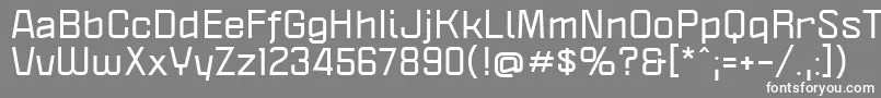 PoliticaXtBold Font – White Fonts on Gray Background