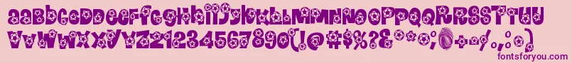 Bendit ffy Font – Purple Fonts on Pink Background