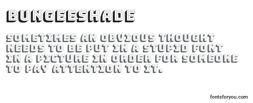 Review of the BungeeShade Font
