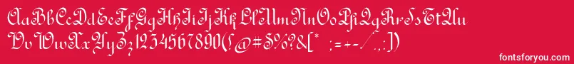 RondoAncienttwo Font – White Fonts on Red Background