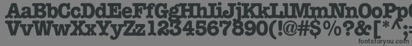 Boccitext13RegularTtext Font – Black Fonts on Gray Background