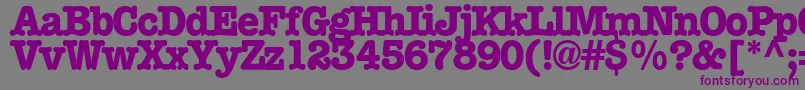フォントBoccitext13RegularTtext – 紫色のフォント、灰色の背景