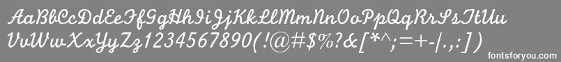 Monolinescriptmtstd Font – White Fonts on Gray Background