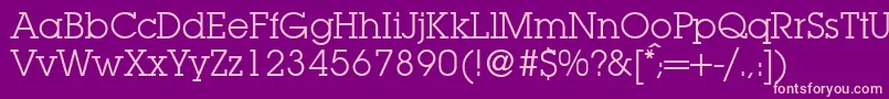 LubbersRegularDb Font – Pink Fonts on Purple Background