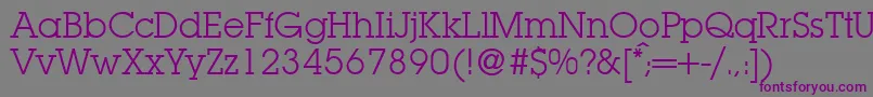 LubbersRegularDb Font – Purple Fonts on Gray Background