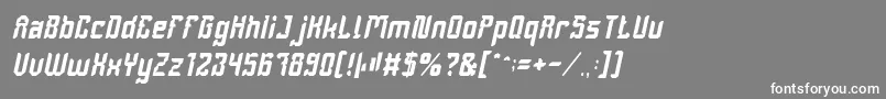 フォントDayakShieldItalic – 灰色の背景に白い文字