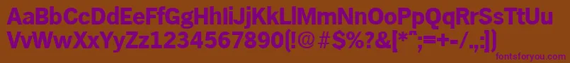 HamburgBold Font – Purple Fonts on Brown Background