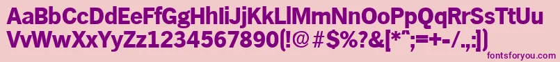 HamburgBold Font – Purple Fonts on Pink Background