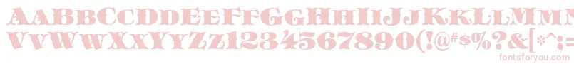 AkmeistDecor-Schriftart – Rosa Schriften