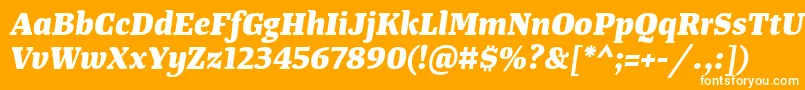 TangerserifmediumExtrabolditalic Font – White Fonts on Orange Background