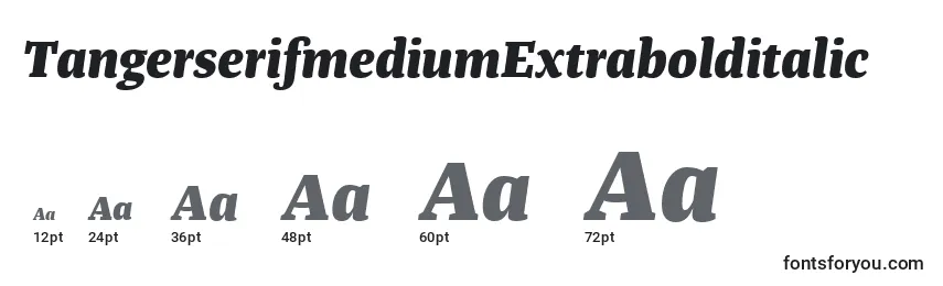 TangerserifmediumExtrabolditalic Font Sizes