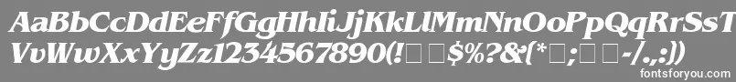 フォントBenguiat ffy – 灰色の背景に白い文字