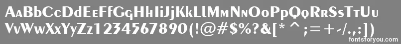 フォントExotic350BoldTl – 灰色の背景に白い文字