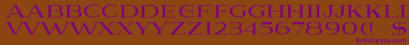 Lausanne Font – Purple Fonts on Brown Background