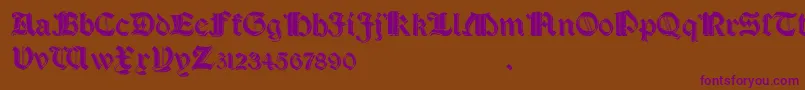 SalterioShadow Font – Purple Fonts on Brown Background