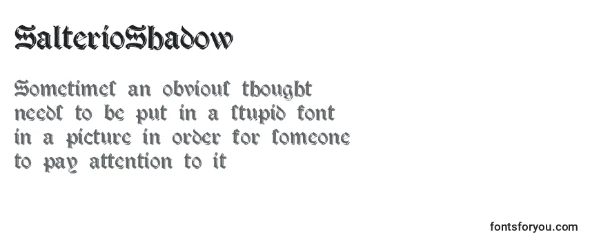 Review of the SalterioShadow Font