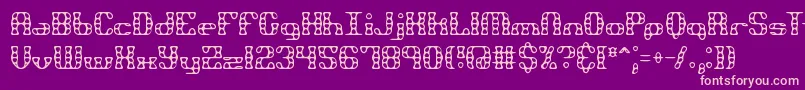 Brassknuckle-Schriftart – Rosa Schriften auf violettem Hintergrund