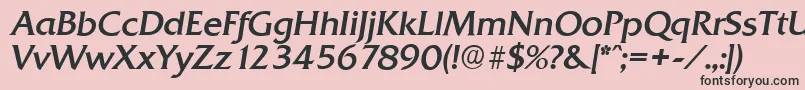 QuadratserialItalic Font – Black Fonts on Pink Background