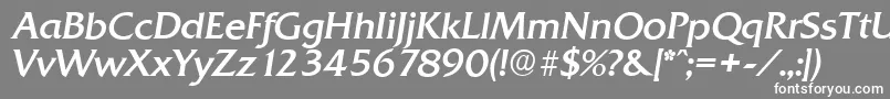 フォントQuadratserialItalic – 灰色の背景に白い文字