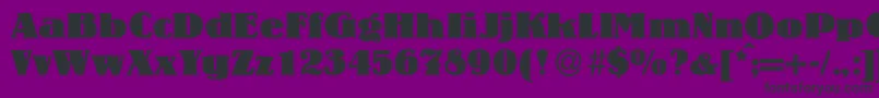 LouisHeavyRegular Font – Black Fonts on Purple Background