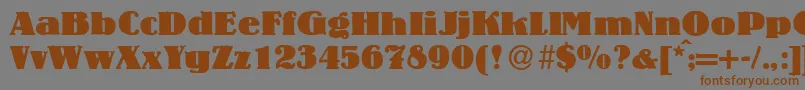 LouisHeavyRegular Font – Brown Fonts on Gray Background