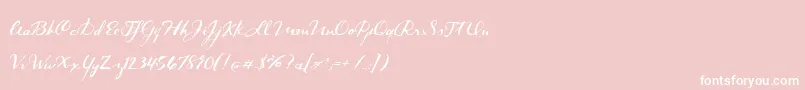 DarkRoast-Schriftart – Weiße Schriften auf rosa Hintergrund