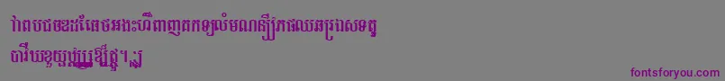 TaprumRegular Font – Purple Fonts on Gray Background