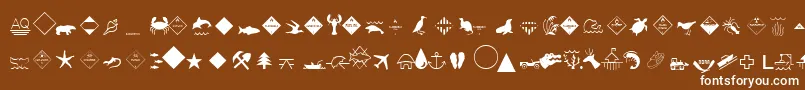 EsriEnvironmentalIcons Font – White Fonts on Brown Background