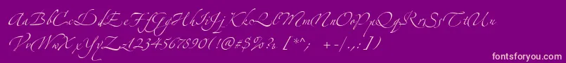ZeferinoTwo Font – Pink Fonts on Purple Background