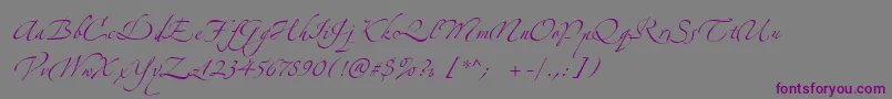 ZeferinoTwo-Schriftart – Violette Schriften auf grauem Hintergrund