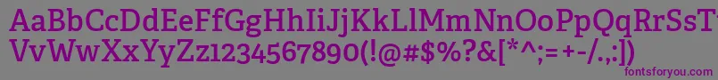 AdelleCyrillicSemibold Font – Purple Fonts on Gray Background