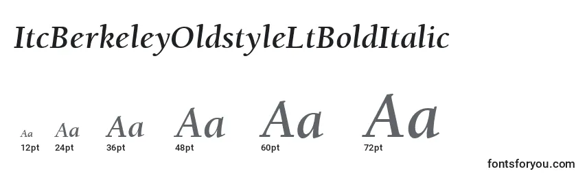 Размеры шрифта ItcBerkeleyOldstyleLtBoldItalic