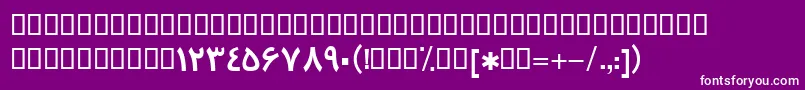 BTrafficBold Font – White Fonts on Purple Background