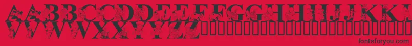 LmsLetsPretendWithFriends Font – Black Fonts on Red Background