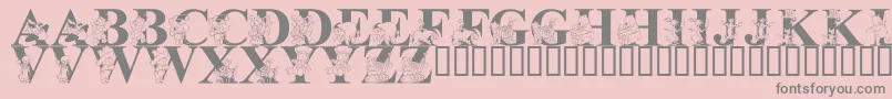 LmsLetsPretendWithFriends Font – Gray Fonts on Pink Background