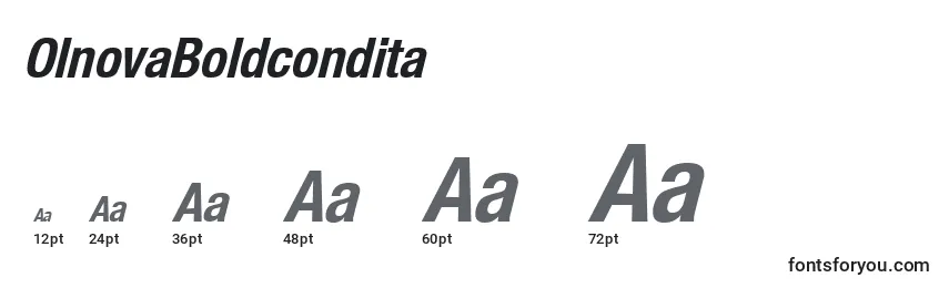 OlnovaBoldcondita Font Sizes