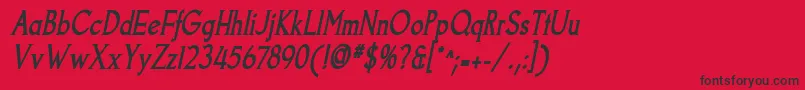 GoodfishBoldItalic Font – Black Fonts on Red Background